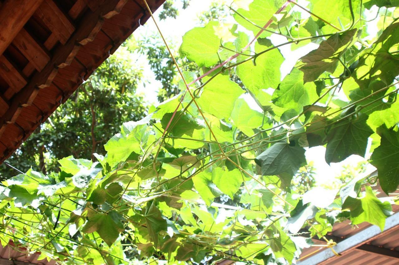 Chicken'S House- Duong Lam Homestay Hanoi Buitenkant foto